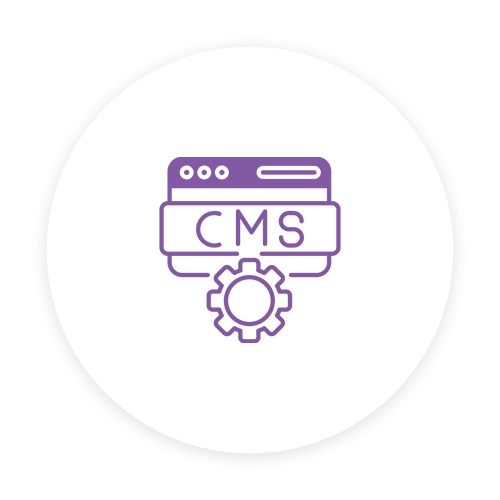 CMS Custom Development